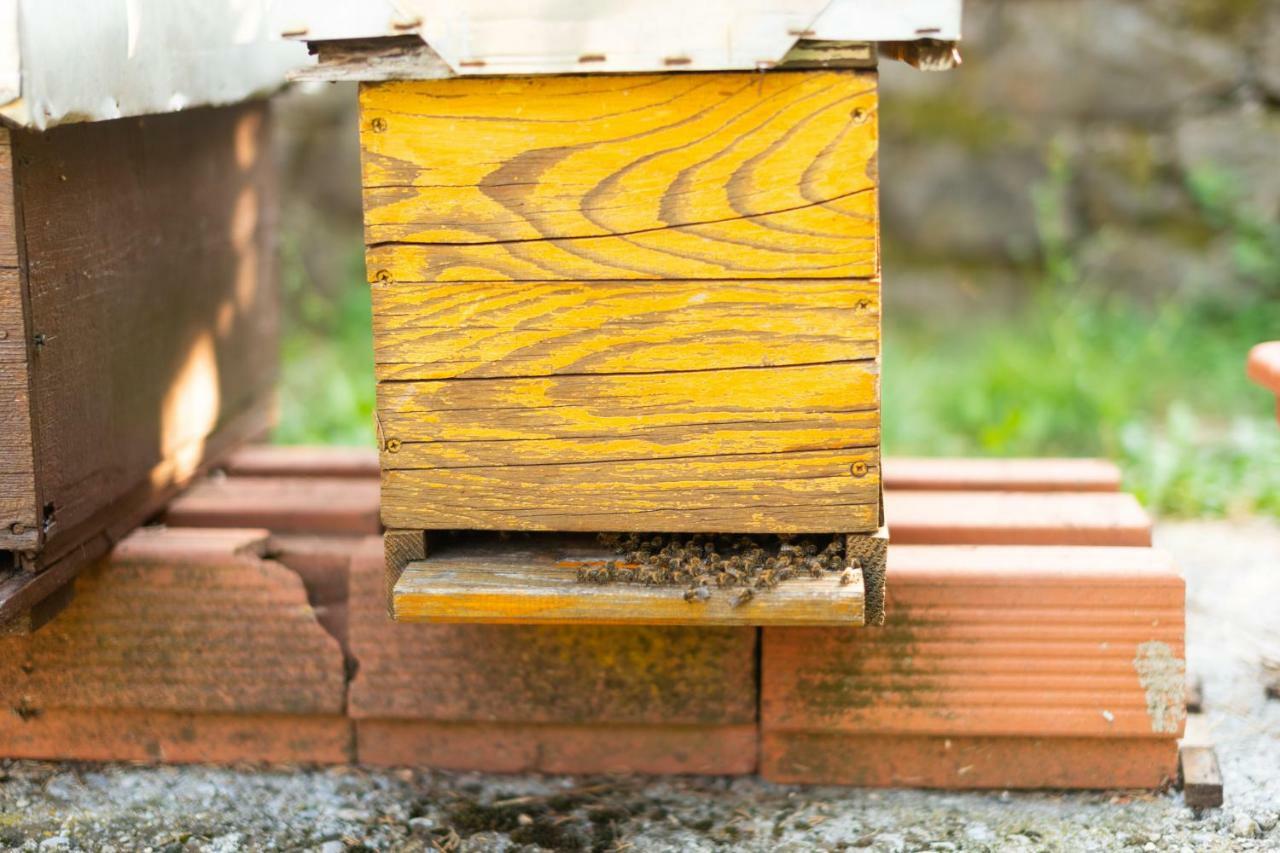 Honey Farm House 비르파자르 외부 사진