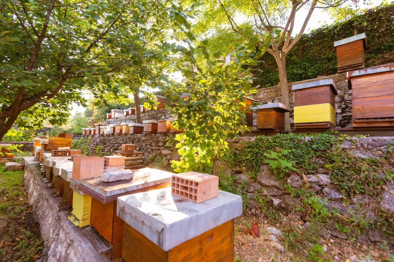 Honey Farm House 비르파자르 외부 사진