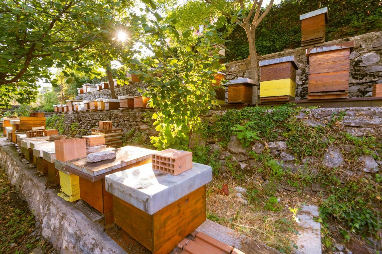 Honey Farm House 비르파자르 외부 사진